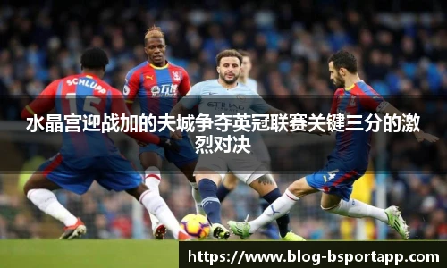 水晶宫迎战加的夫城争夺英冠联赛关键三分的激烈对决